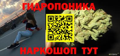 твердый Новокубанск