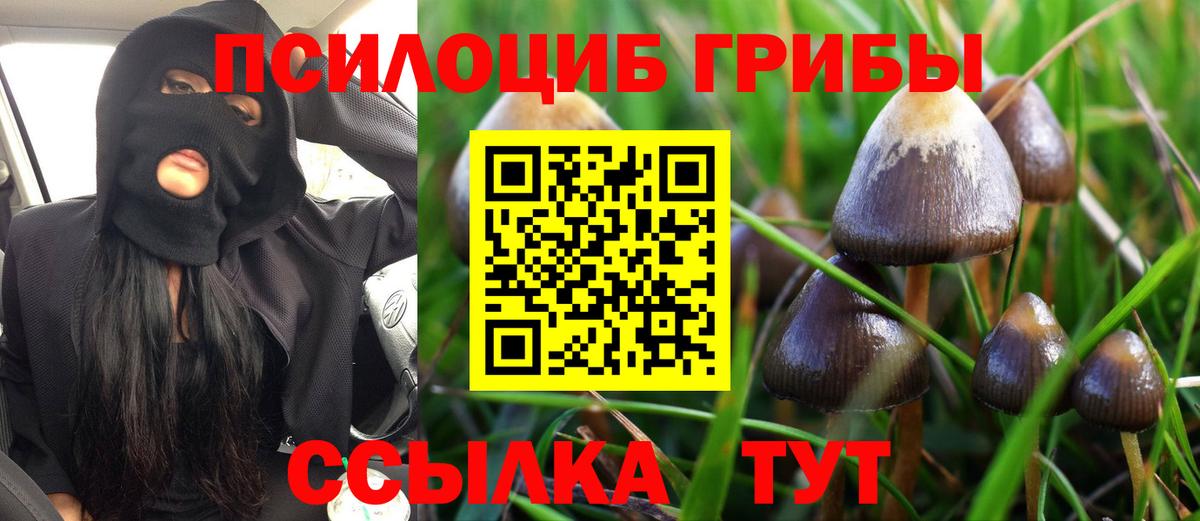 Галлюциногенные грибы Psilocybe Улан-Удэ