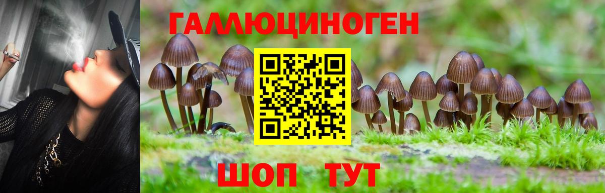 Псилоцибиновые грибы Psilocybine cubensis  Вход с VPN  Улан-Удэ  Галлюциногенные грибы Psilocybine cubensis 